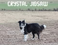 http://crystaljigsaw.blogspot.com/